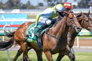 Tried & tested formula sees mare bounce back to form